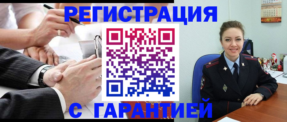 прописка 2025 в Светлогорске